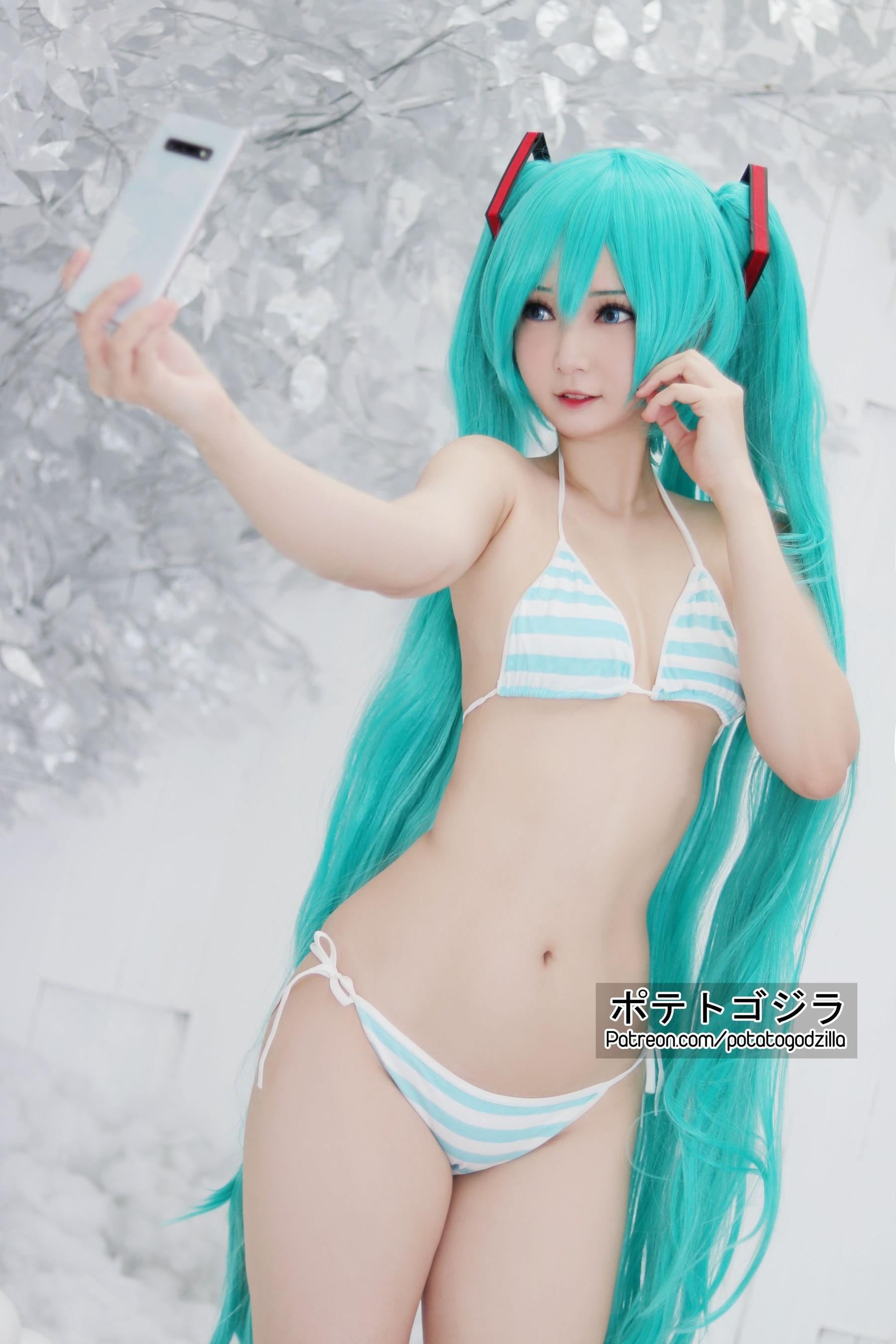 Potato Godzilla – NO.75 Hatsune Miku [23P]-秀吧